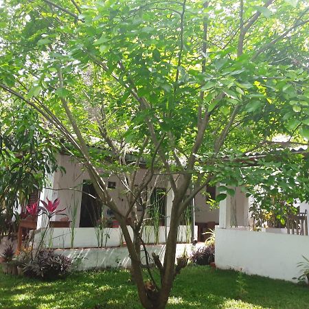 Disna Homestay Habarana Extérieur photo