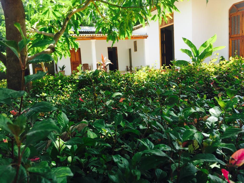 Disna Homestay Habarana Extérieur photo
