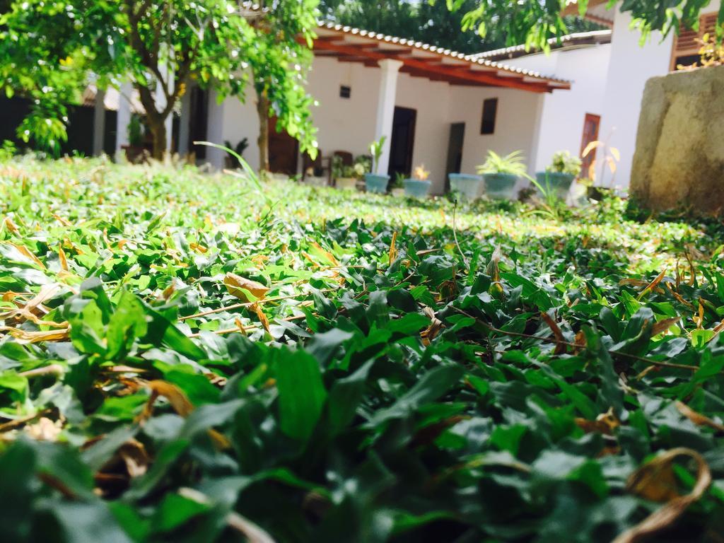 Disna Homestay Habarana Extérieur photo