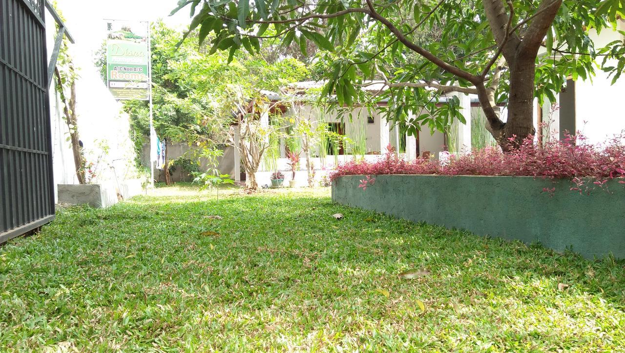 Disna Homestay Habarana Extérieur photo